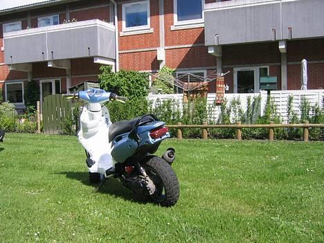 PGO pmx sport[Solgt] billede 2