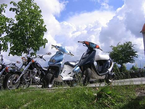 PGO pmx sport[Solgt] billede 8