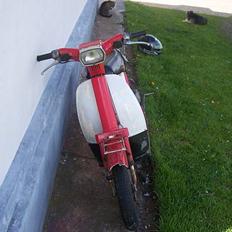 Yamaha Passola (PROJEKT) - 50%