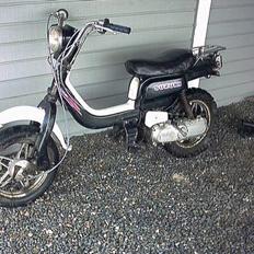 Suzuki fz 50 (SOLGT)