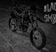 Suzuki Kronholm Design smx