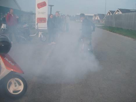 Piaggio Typhoon Nrg - NTT SOLGT billede 13