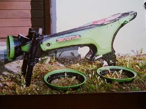 Honda Dax  billede 1