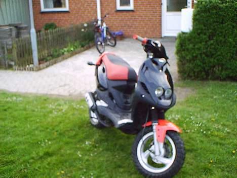 PGO pmx sport ( projekt ) billede 2