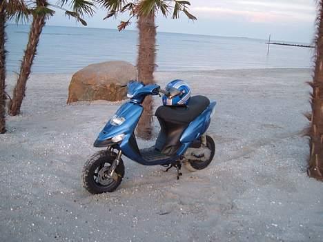 Gilera Stalker Byttet til NRG  billede 1