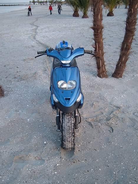 Gilera Stalker Byttet til NRG  billede 3