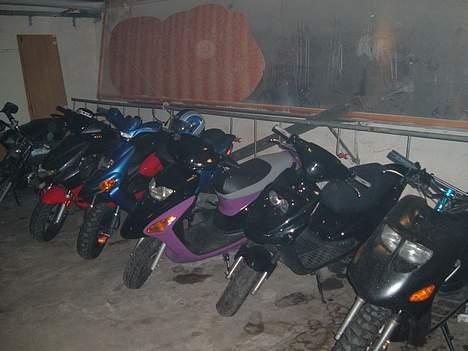 Gilera Stalker Byttet til NRG  - Fra venstre: Niikke´s 4g Hansen´s Hussar Jordvabs´ Stalker Tina´s SFX Daniel V´s Hot og horsholt´s Rider billede 12