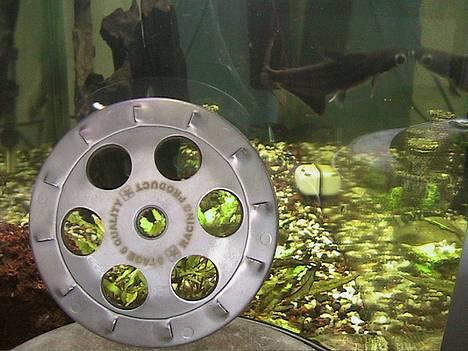 Piaggio Typhoon billede 18