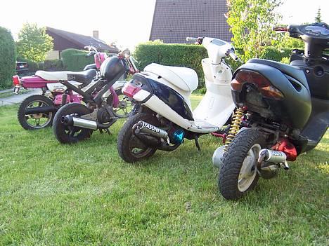 Yamaha mine gamle knallerter billede 13
