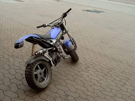 Suzuki Street Magic - Solgt billede 3