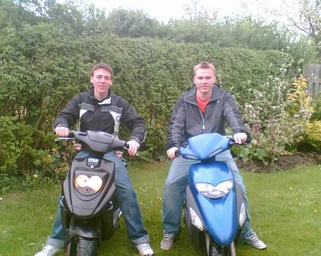 PGO Hot 50 - solgt - billede 5