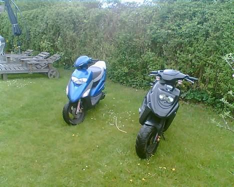 PGO Hot 50 - solgt - billede 6