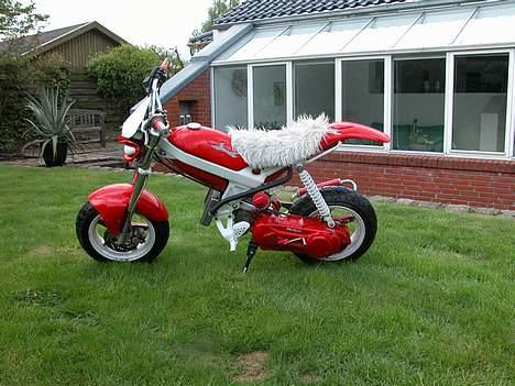 Suzuki Street Magic LC (SOLGT) billede 2