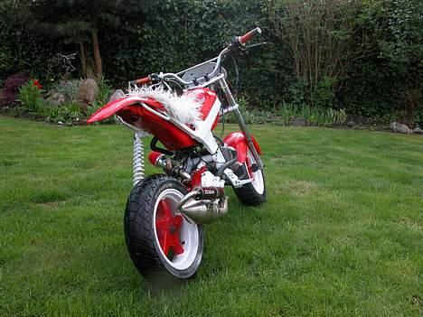 Suzuki Street Magic LC (SOLGT) billede 5