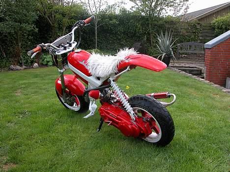 Suzuki Street Magic LC (SOLGT) billede 7