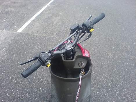 PGO rodoshow  billede 8