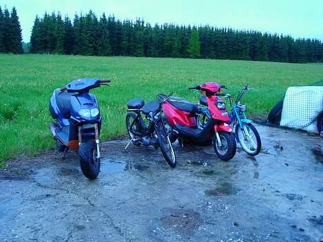 Puch Maxi K  //SOLGT// - alle mine 4 samlet :D. billede 10