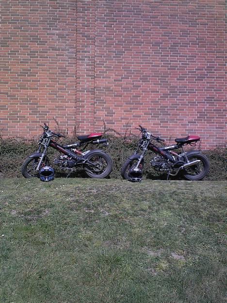 Sachs -|- MadAss -|- billede 8