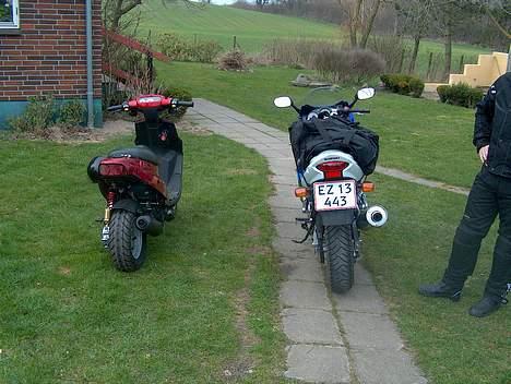 PGO HOT 50 billede 15