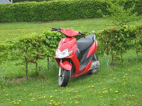 Yamaha Jog R (¤) The Playboy (¤) - Se hvor smart den spiller :P billede 2