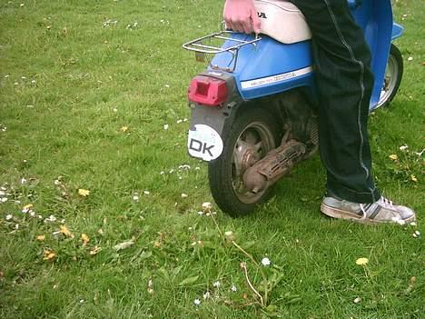 Honda melody byttet til puch billede 4