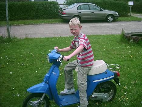 Honda melody byttet til puch billede 6