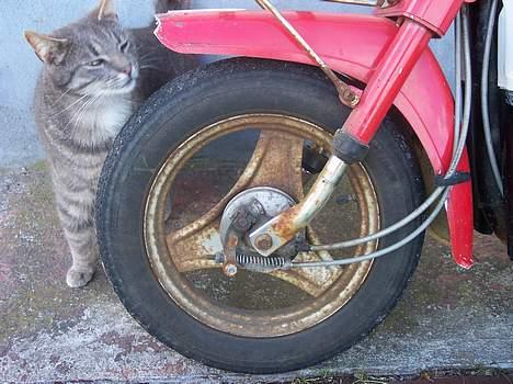 Yamaha Passola (PROJEKT) - 50% billede 8