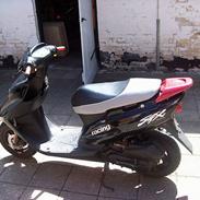 Honda SFX ''betty''