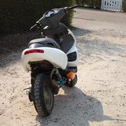 Benelli 491Team ---> [SOLGT]