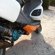 Benelli 491Team ---> [SOLGT]