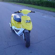 PGO hot 50 procekt started