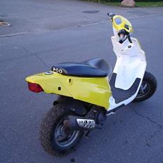 PGO hot 50 procekt started