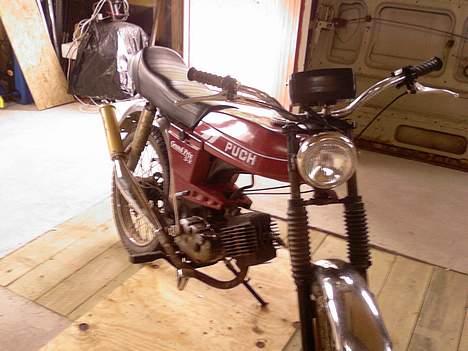 Puch Grand Prix 3 g. *SOLGT* billede 1