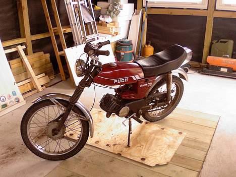 Puch Grand Prix 3 g. *SOLGT* billede 2