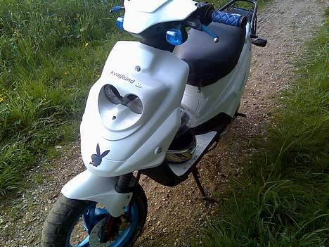 PGO Hot50 [SOLGT] - Stem :) og jeg stemmer igen :) billede 5