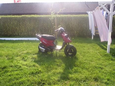 PGO HOT 50 >solgt< - hmm jojo billede 2