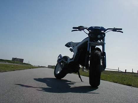 Suzuki Street Magic - solgt billede 15