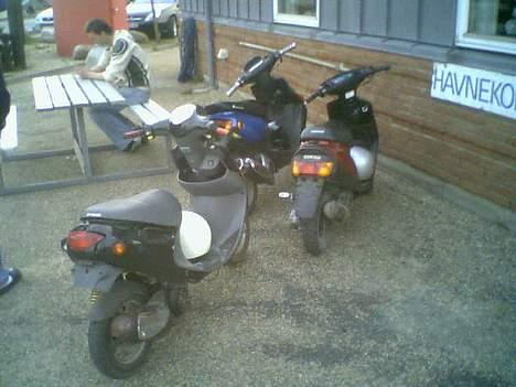 PGO Rodoshow Byttet - Taget ved havkoen billede 7