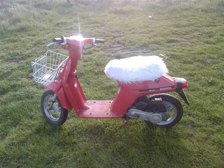 Honda Melody Mini billede 1