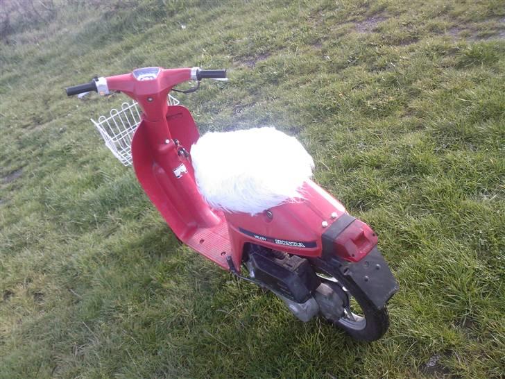 Honda Melody Mini billede 2