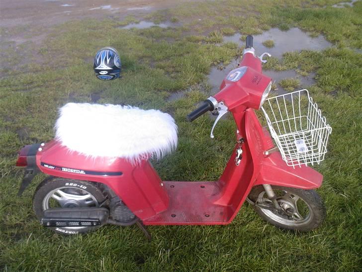 Honda Melody Mini billede 4