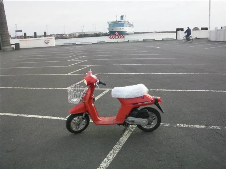 Honda Melody Mini billede 5