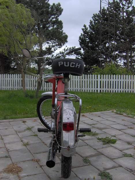 Puch maxi (bytte for ms50) billede 5