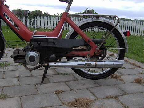 Puch maxi (bytte for ms50) billede 7