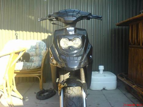 PGO Hot 50 billede 7