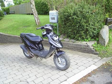 PGO Hot 50 (Solgt) billede 3