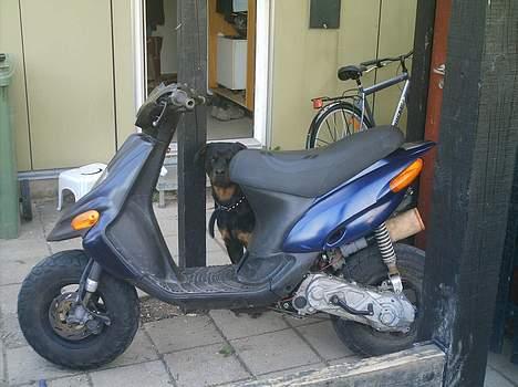 Gilera stalker (solgt) billede 4