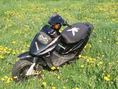 PGO HOT 50 - SOLGT- billede 7