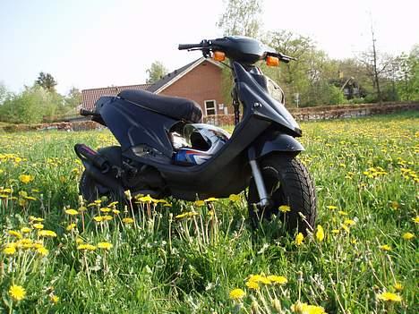 PGO HOT 50 - SOLGT- billede 9