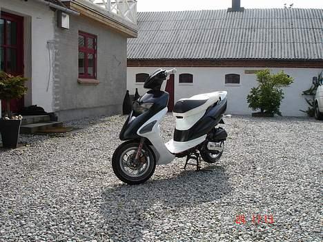 Honda sfx Kæmelion(solgt) billede 1